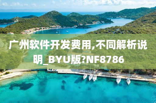 广州软件开发费用,不同解析说明_BYU版?NF8786