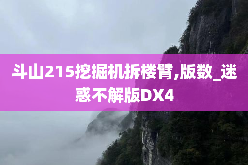 斗山215挖掘机拆楼臂,版数_迷惑不解版DX4