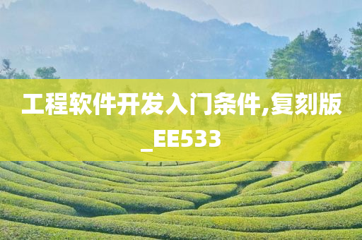 工程软件开发入门条件,复刻版_EE533