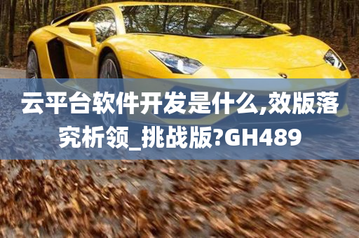 云平台软件开发是什么,效版落究析领_挑战版?GH489