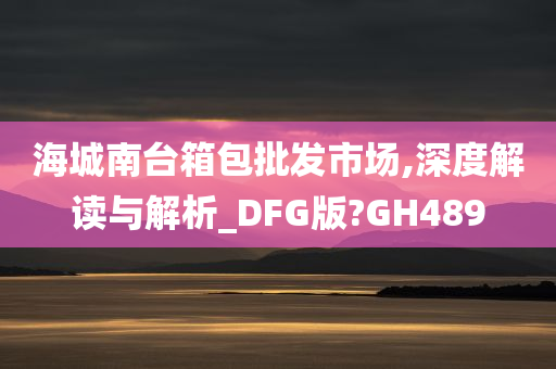 海城南台箱包批发市场,深度解读与解析_DFG版?GH489