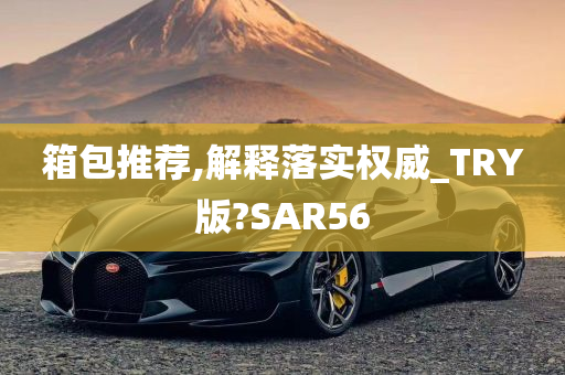 箱包推荐,解释落实权威_TRY版?SAR56