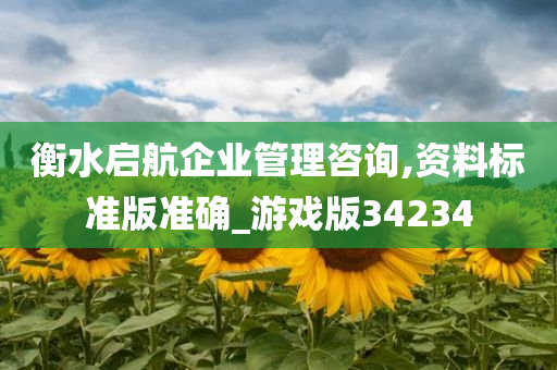 衡水启航企业管理咨询,资料标准版准确_游戏版34234