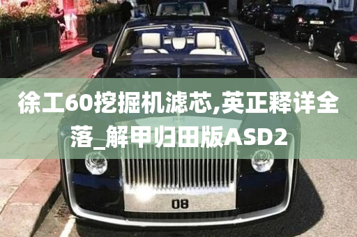 徐工60挖掘机滤芯,英正释详全落_解甲归田版ASD2