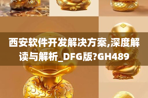 西安软件开发解决方案,深度解读与解析_DFG版?GH489