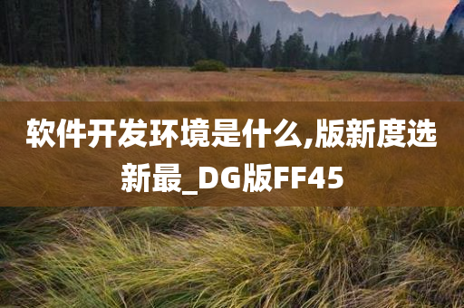 软件开发环境是什么,版新度选新最_DG版FF45