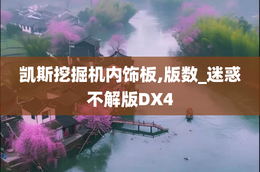 凯斯挖掘机内饰板,版数_迷惑不解版DX4