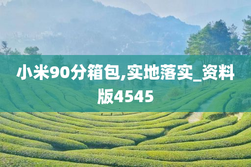 小米90分箱包,实地落实_资料版4545