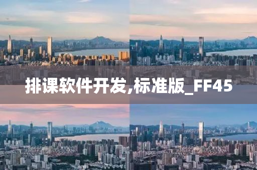 排课软件开发,标准版_FF45