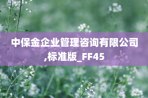 中保金企业管理咨询有限公司,标准版_FF45