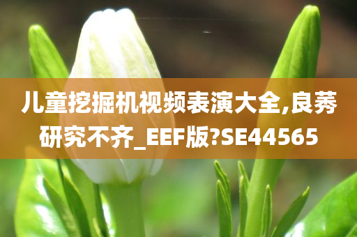 儿童挖掘机视频表演大全,良莠研究不齐_EEF版?SE44565