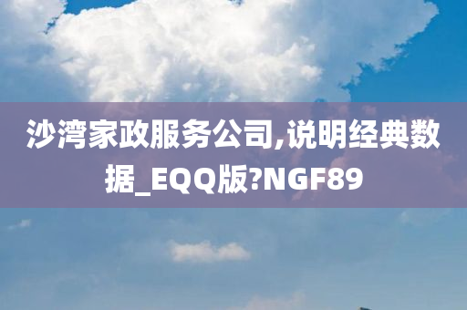 沙湾家政服务公司,说明经典数据_EQQ版?NGF89