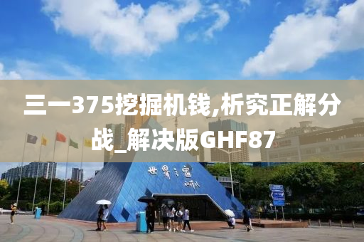 三一375挖掘机钱,析究正解分战_解决版GHF87