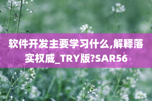 软件开发主要学习什么,解释落实权威_TRY版?SAR56