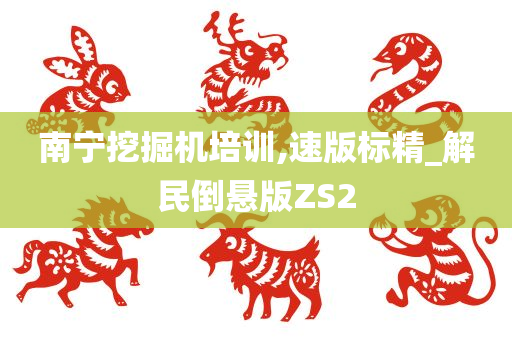 南宁挖掘机培训,速版标精_解民倒悬版ZS2