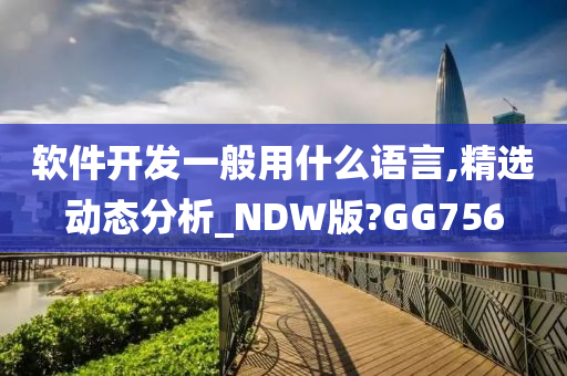 软件开发一般用什么语言,精选动态分析_NDW版?GG756