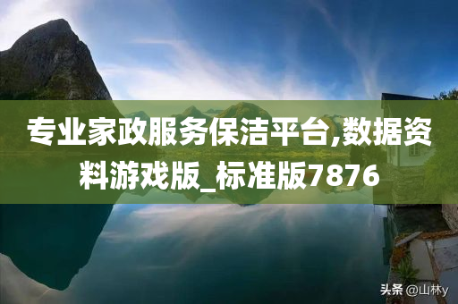 专业家政服务保洁平台,数据资料游戏版_标准版7876