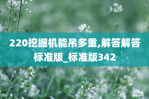 220挖掘机能吊多重,解答解答标准版_标准版342