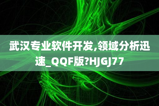 武汉专业软件开发,领域分析迅速_QQF版?HJGJ77