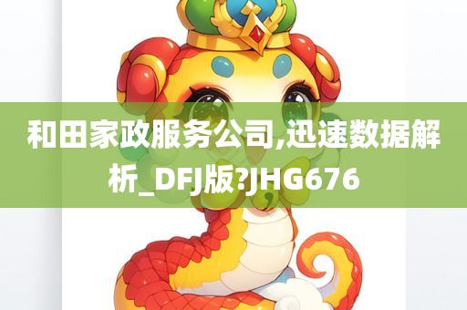 和田家政服务公司,迅速数据解析_DFJ版?JHG676