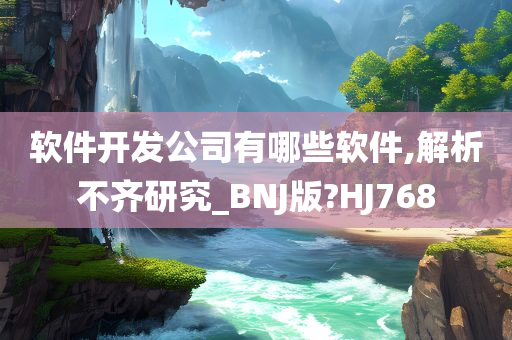 软件开发公司有哪些软件,解析不齐研究_BNJ版?HJ768