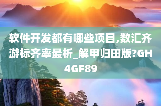 软件开发都有哪些项目,数汇齐游标齐率最析_解甲归田版?GH4GF89