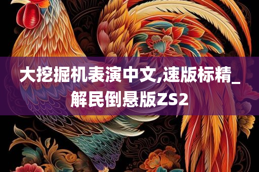 大挖掘机表演中文,速版标精_解民倒悬版ZS2