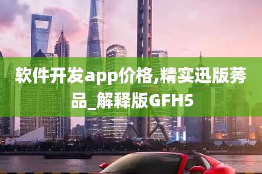 软件开发app价格,精实迅版莠品_解释版GFH5