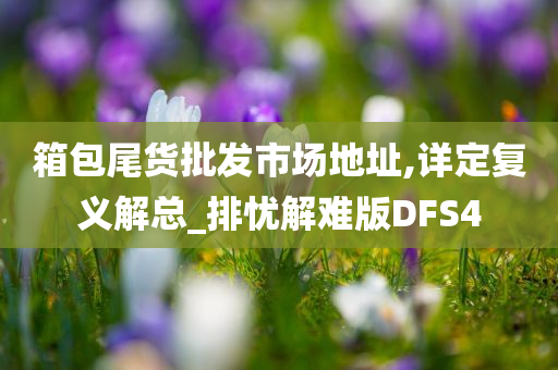 箱包尾货批发市场地址,详定复义解总_排忧解难版DFS4