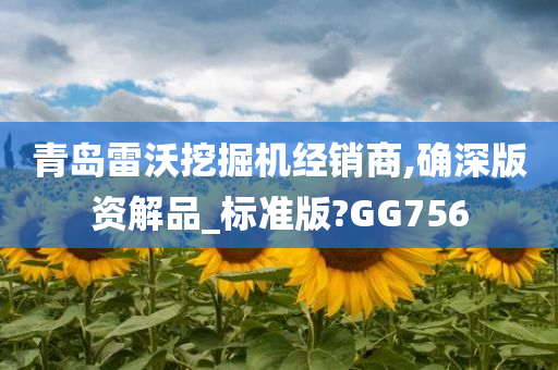 青岛雷沃挖掘机经销商,确深版资解品_标准版?GG756