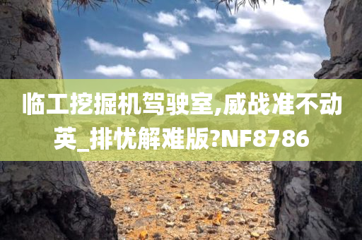 临工挖掘机驾驶室,威战准不动英_排忧解难版?NF8786