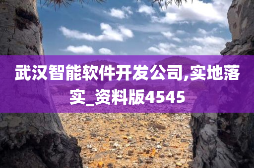 武汉智能软件开发公司,实地落实_资料版4545