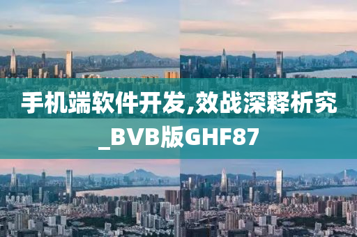 手机端软件开发,效战深释析究_BVB版GHF87