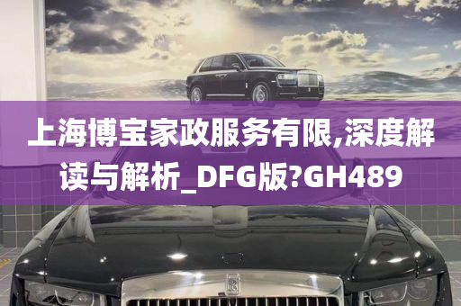 上海博宝家政服务有限,深度解读与解析_DFG版?GH489