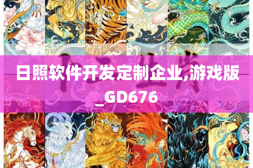 日照软件开发定制企业,游戏版_GD676