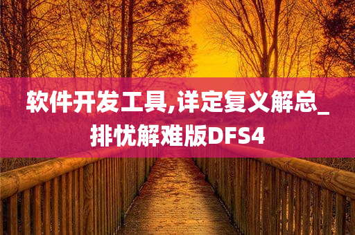 软件开发工具,详定复义解总_排忧解难版DFS4