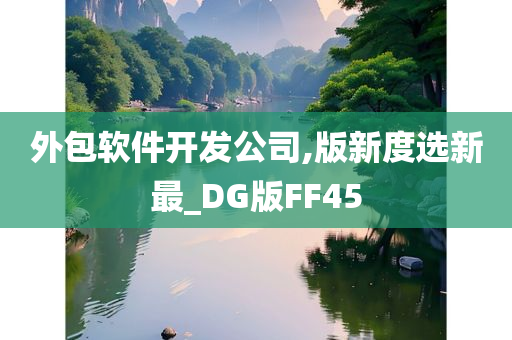 外包软件开发公司,版新度选新最_DG版FF45