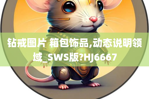 钻戒图片 箱包饰品,动态说明领域_SWS版?HJ6667