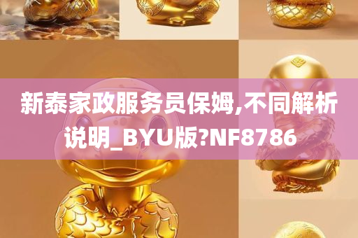 新泰家政服务员保姆,不同解析说明_BYU版?NF8786