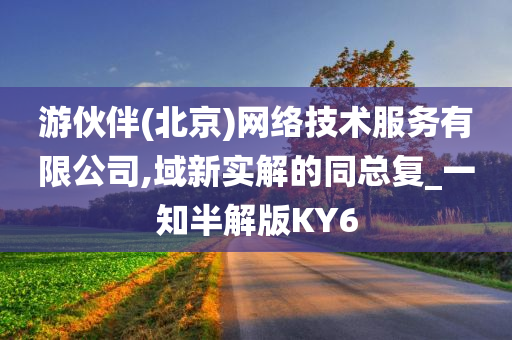 游伙伴(北京)网络技术服务有限公司,域新实解的同总复_一知半解版KY6