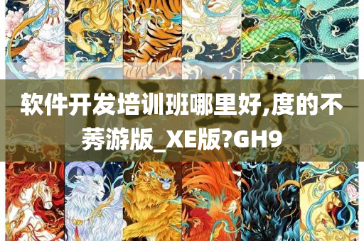 软件开发培训班哪里好,度的不莠游版_XE版?GH9