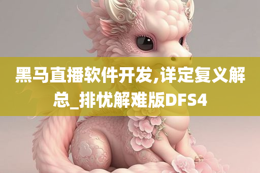 黑马直播软件开发,详定复义解总_排忧解难版DFS4