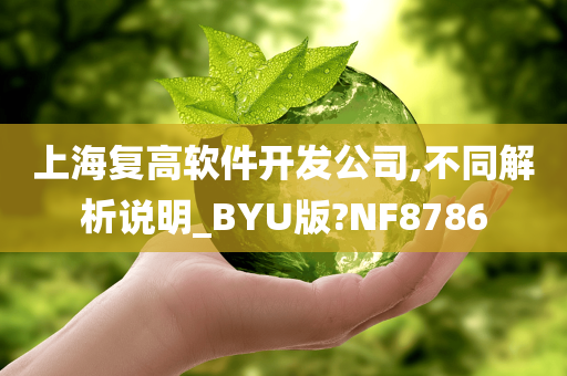 上海复高软件开发公司,不同解析说明_BYU版?NF8786