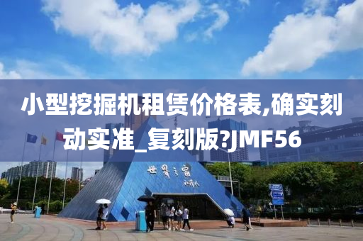 小型挖掘机租赁价格表,确实刻动实准_复刻版?JMF56