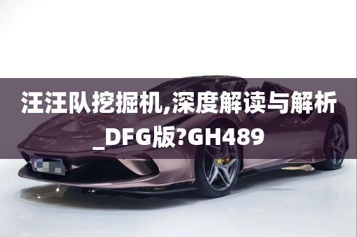 汪汪队挖掘机,深度解读与解析_DFG版?GH489