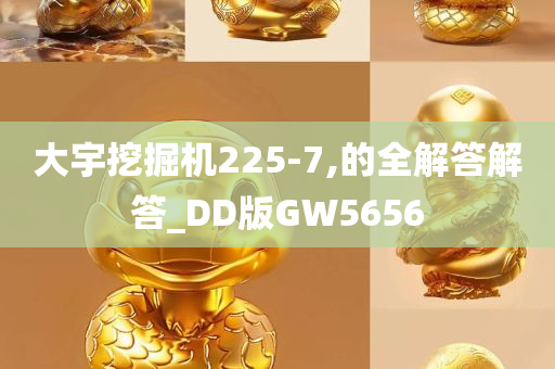 大宇挖掘机225-7,的全解答解答_DD版GW5656