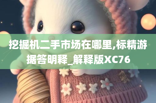 挖掘机二手市场在哪里,标精游据答明释_解释版XC76