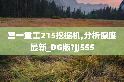 三一重工215挖掘机,分析深度最新_DG版?JJ555