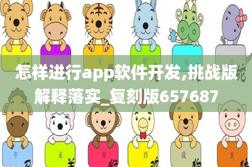 怎样进行app软件开发,挑战版解释落实_复刻版657687