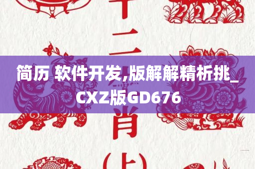 简历 软件开发,版解解精析挑_CXZ版GD676